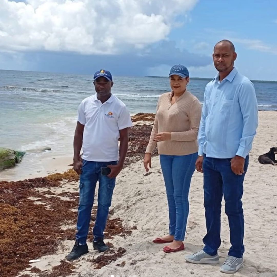 Autoridades coordinan acciones para reducir el impacto del sargazo en Playa Caleta